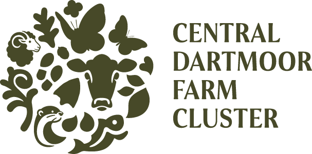 cdfc logo