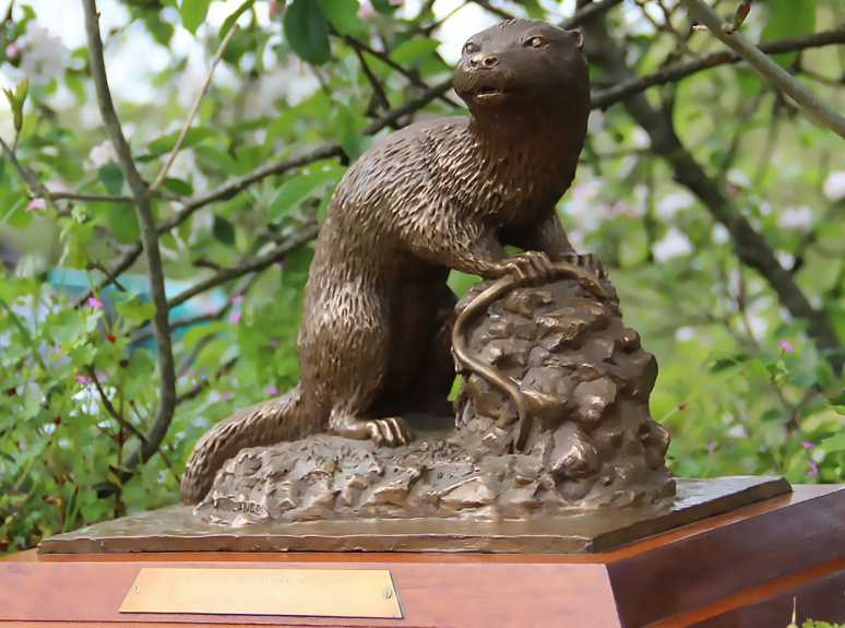 04 News Otter Award