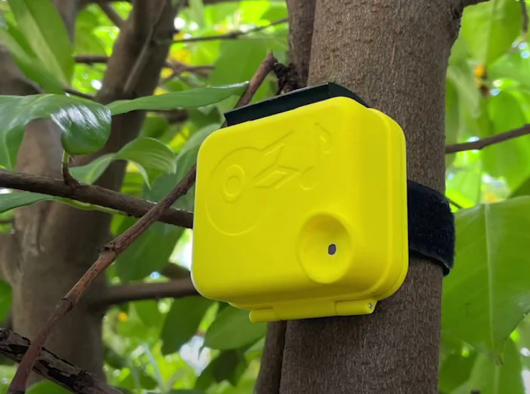 12 Projects Learning Bird Monitoring